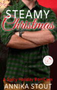 Steamy Christmas Book Cover, a spanking romance